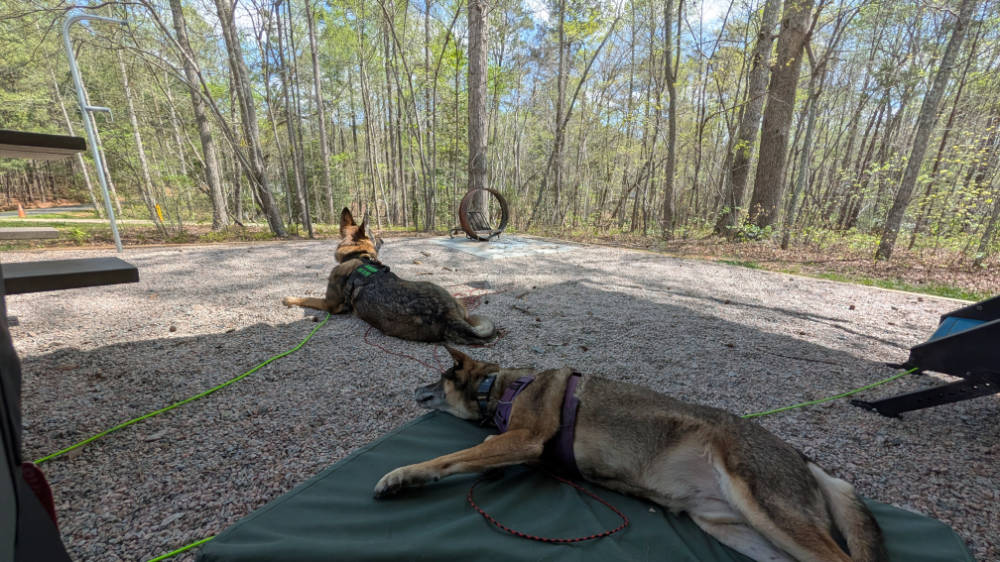 Aiken and Corona relax after a morning of jogging and hiking in Medoc Mountain State Park