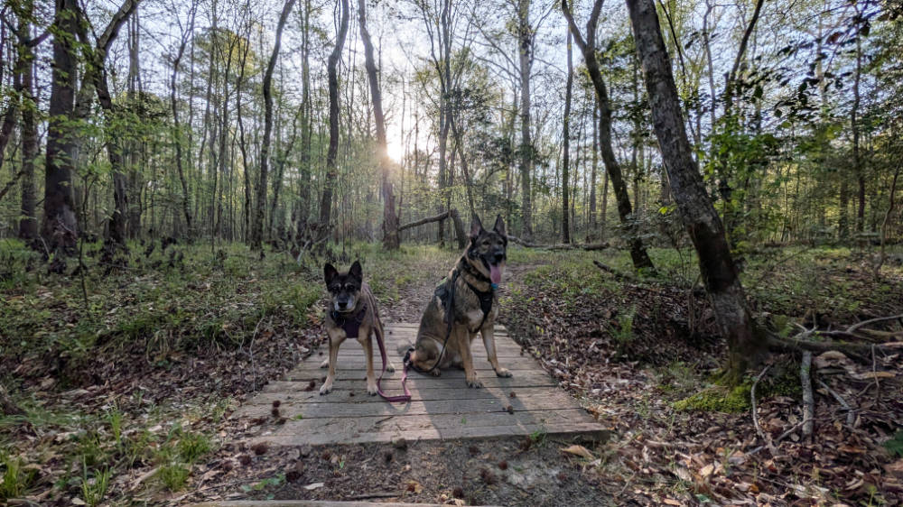 Aiken and Corona pose for a photo while hiking the Campground Loop Trail in Medoc Mountain State Park