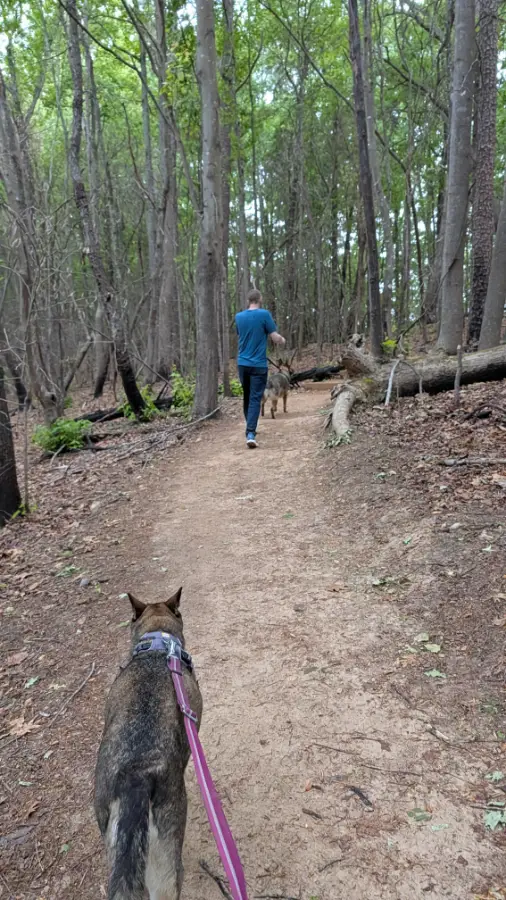 Aiken and Corona hiking Lake Shore Trail at Lake Norman State Park