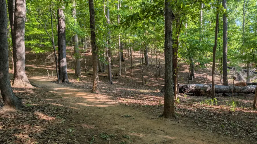Lake Shore Trail at Lake Norman State Park