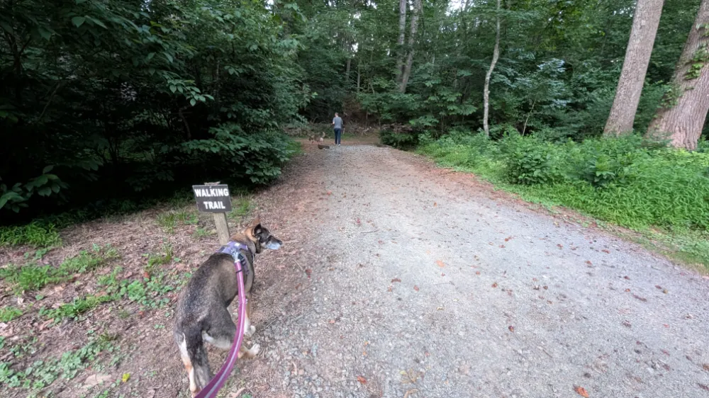 Walking trail at Smith Mountain Campground in Penhook, VA