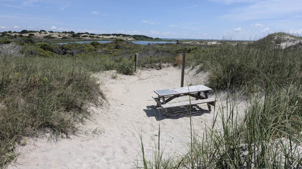 A campsite on Bear Island: a sandy spot with a picnic table surrounded by coastal grass in Hammocks Beach State Park