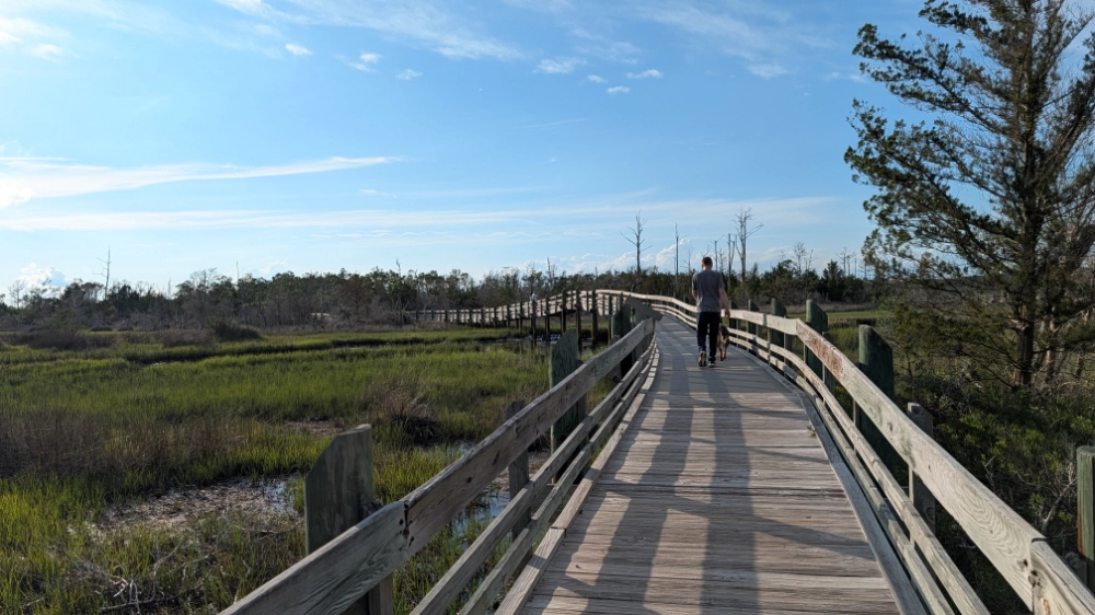 Jesse and Aiken walking on a raised boardwalk over a coastal salt marsh