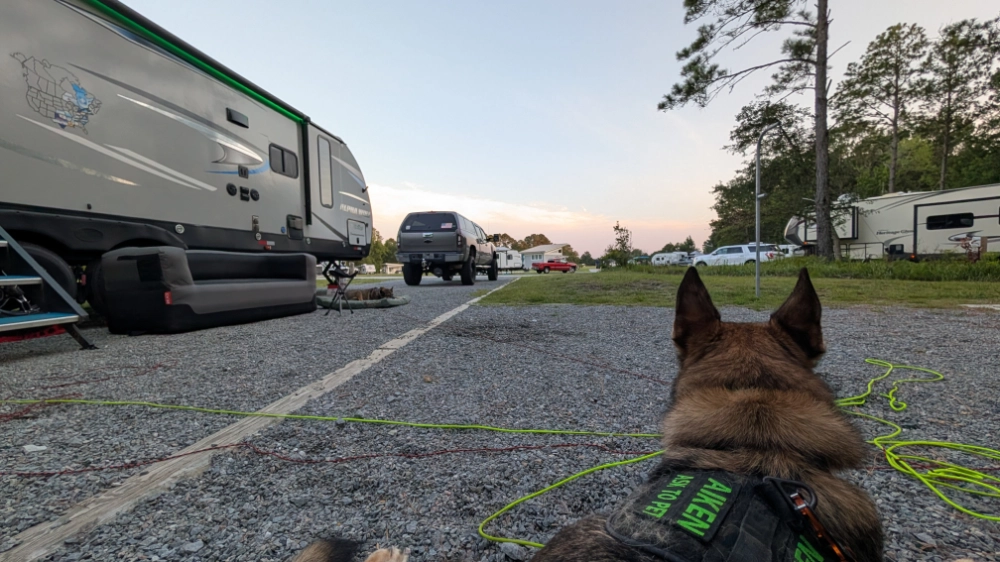 Aiken resting at the campsite and looking out at the rest of the campground