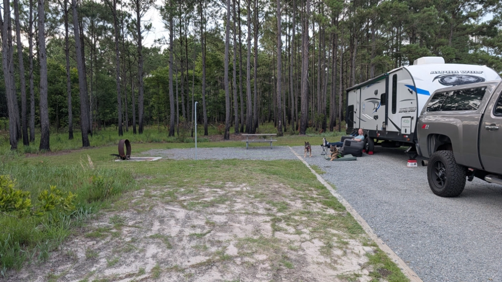 A spacious campsite in Hammocks Beach State Park's Simmons Mainland Campground with a gravel parking area, plenty of grass, and a forest of pine trees behind it