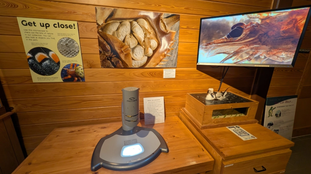 An exhibit at the Hammocks Beach State Park Visitor Center with a microscope on a desk and a screento get a good look at the details