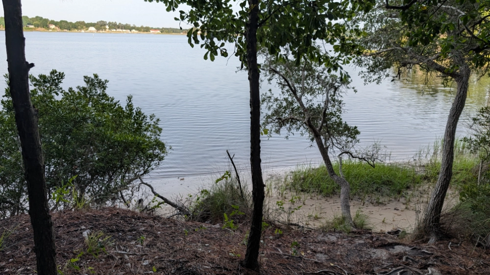 A view of the water access point to Queen Creek along the Hickory Bluff Trail at Hammocks Beach State Park